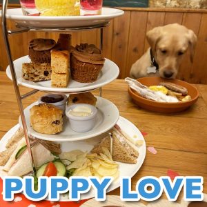 Puppy Love Afternoon Tea